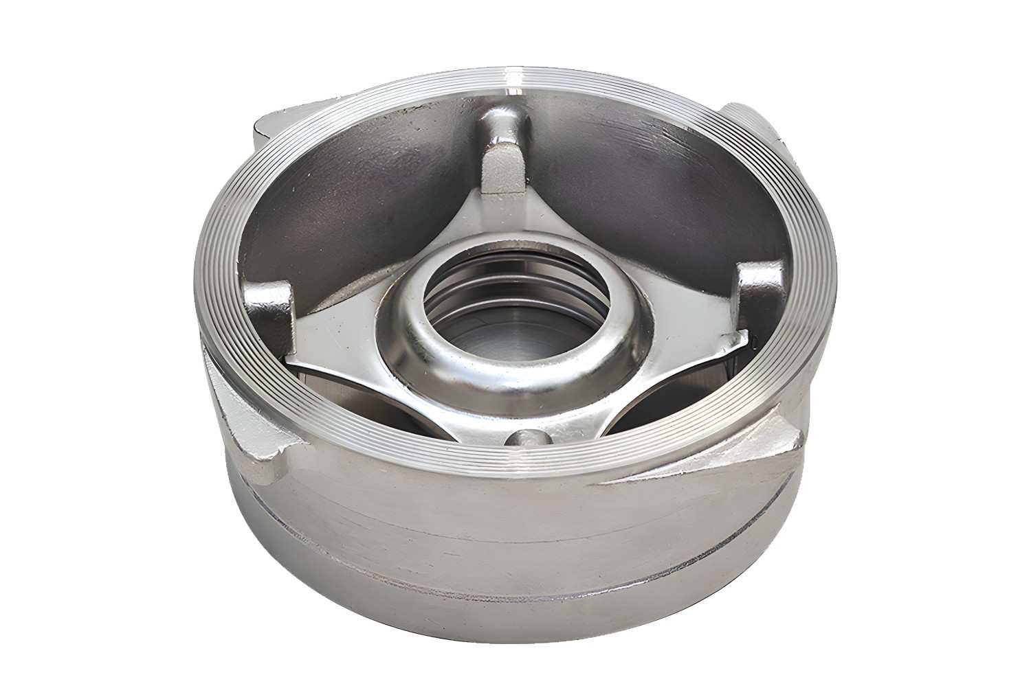 Disc Check Valve (Non-Slam)